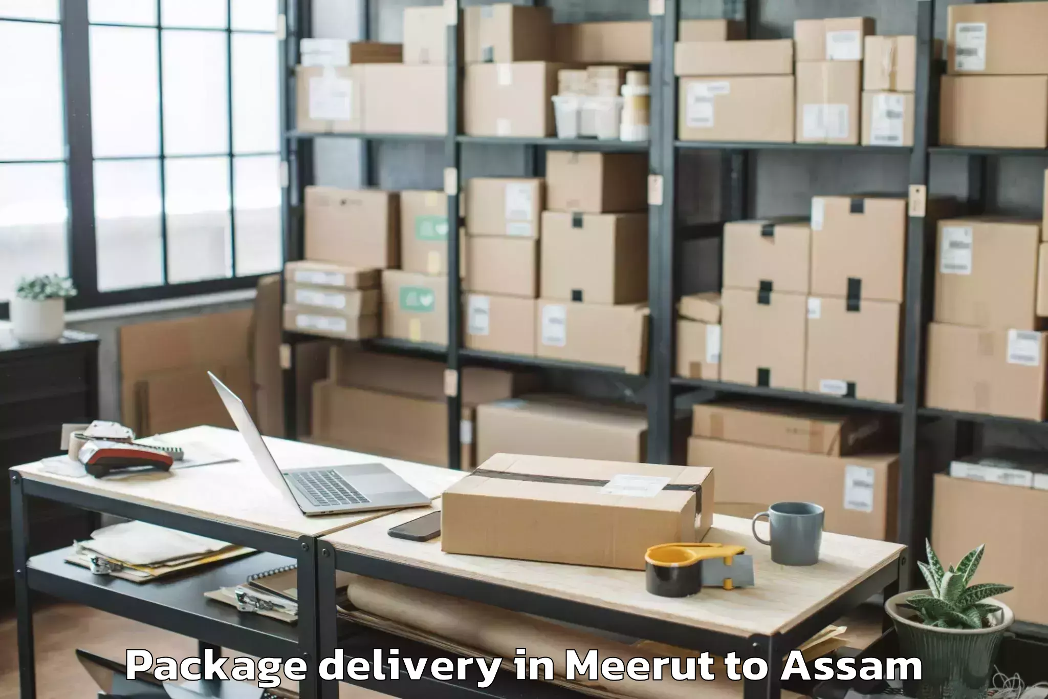 Book Meerut to Chaboti Package Delivery